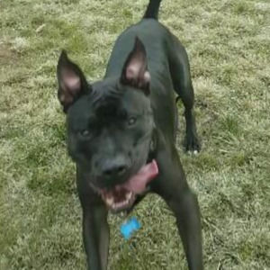 Meet your Posher, Cameron